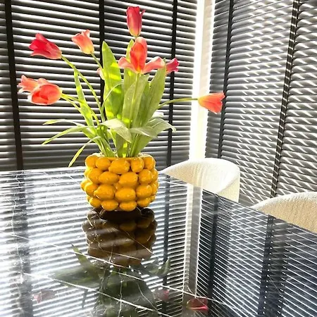 Apartment Modern Luxurious 90 M2